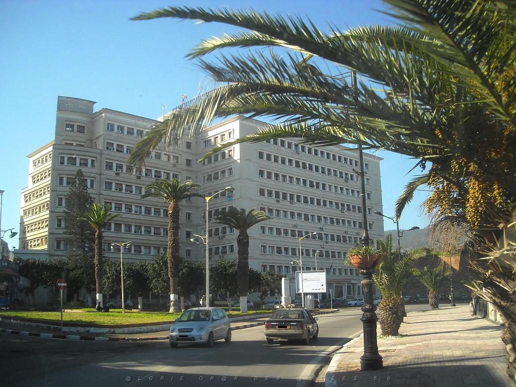 ORAN 2013 JANVIER - Sonelgaz (EGA).JPG